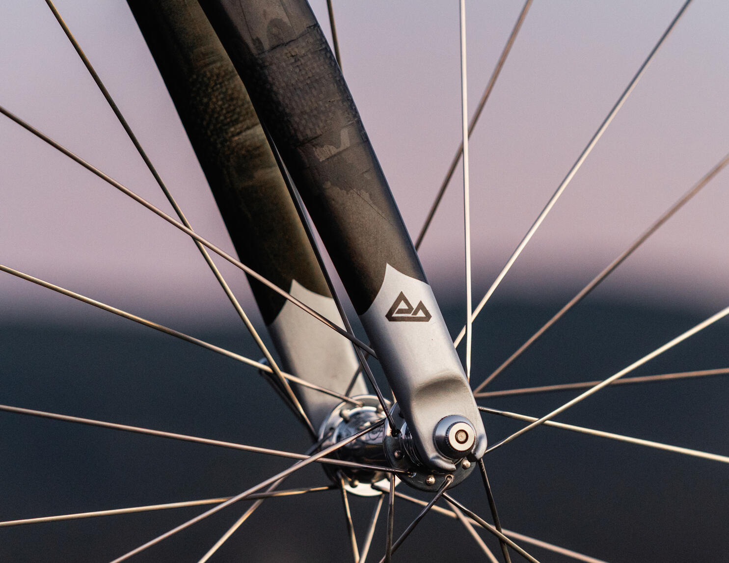 Raw Carbon Fork Raw Carbon Fork